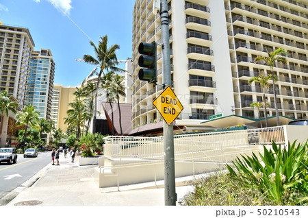 ハワイの休日 50210543