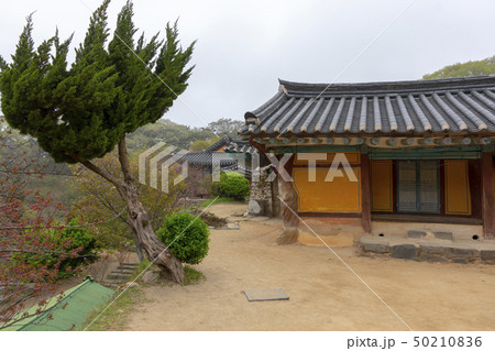 屋外 室外 仏教 50210836