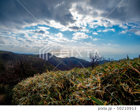 【静岡県伊豆半島】伊豆山稜線歩道からの夕景【秋・だるま山周辺】 【静岡県伊豆半島】伊豆山稜線歩道からの夕景【秋・だるま山周辺】 50210913