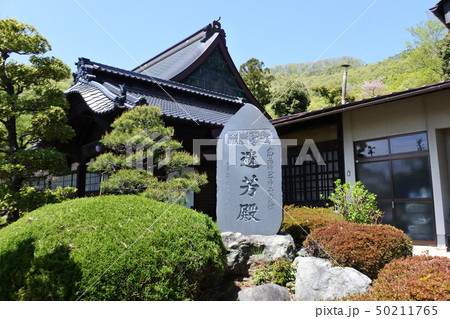 法泉寺 法泉寺 50211765