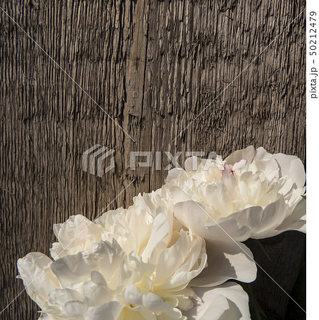 Peonies flowers Peonies flowers 50212479