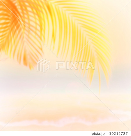 背景-夏-南国-海-空-ビーチ 背景-夏-南国-海-空-ビーチ 50212727