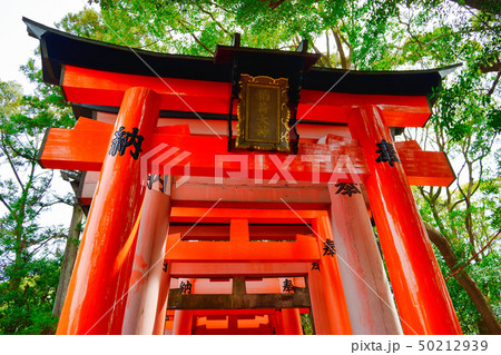 伏見稲荷 (京都)Fushimiinari 伏見稲荷 (京都)Fushimiinari 50212939