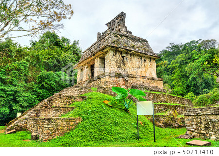 Ruins of Palenque in Chiapas, Mexico 50213410