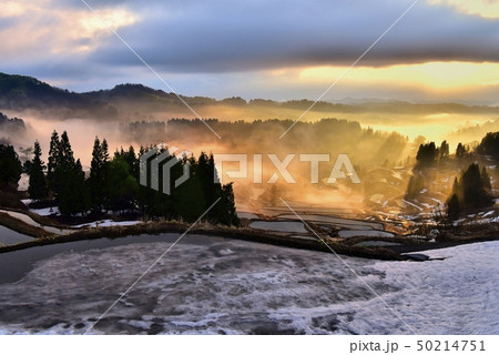 新潟松代星峠 朝日と霧と残雪の棚田 新潟松代星峠 朝日と霧と残雪の棚田 50214751
