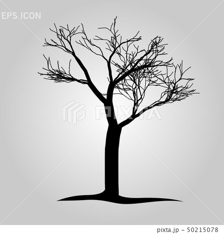 5412 Dead Tree Sketch Images Stock Photos  Vectors  Shutterstock