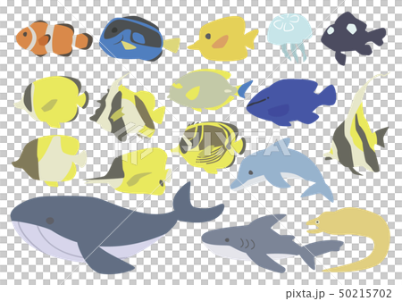 海の生き物セット 50215702