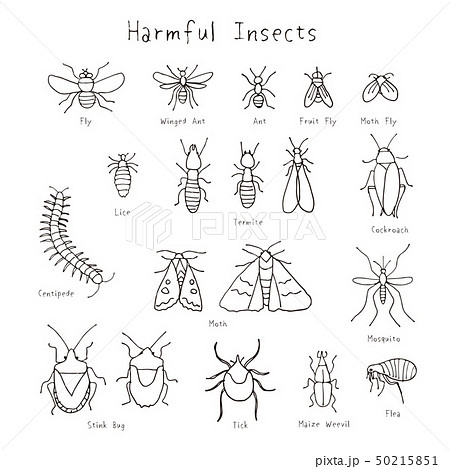 いろいろな害虫 手書きイラストのイラスト素材 いろいろな害虫 手書きイラストのイラスト素材