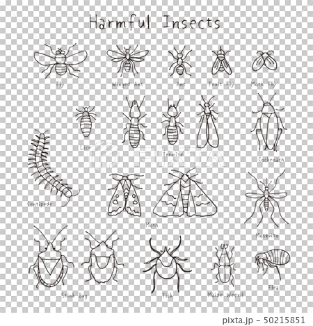 Various pests handwritten illustration 50215851