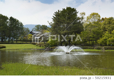 木曽三川公園センターの風景 50215931