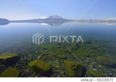 早春の支笏湖 50216073