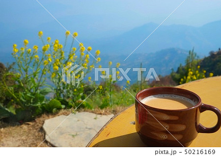 カトマンズ盆地ナガルコットハイキング　菜の花段々畑 50216169