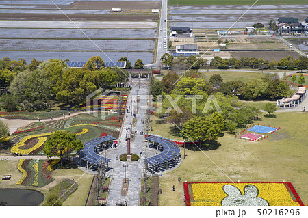 木曽三川公園センターのチューリップ祭りの風景 50216296