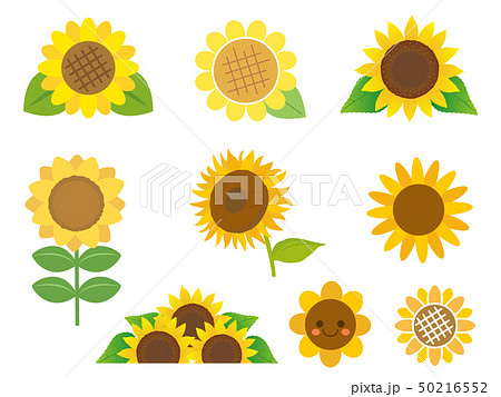 Cute Sunflower Illustration Material Stock Illustration