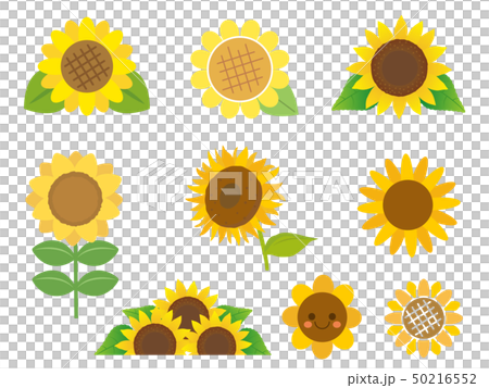 かわいいヒマワリのイラスト素材のイラスト素材
