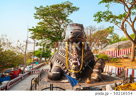 Shri Nandi on Chamundi Hills 50216554