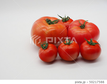 トマト(自然質感) 50217566