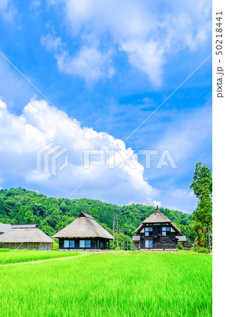 夏の農村風景 (荻ノ島環状集落) 夏の農村風景 (荻ノ島環状集落) 50218441