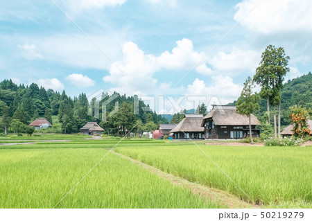 夏の農村風景 (荻ノ島環状集落) 夏の農村風景 (荻ノ島環状集落) 50219279