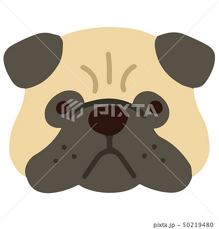 パグの顔の手描きのイラスト アウトラインなし パグの顔の手描きのイラスト アウトラインなし 50219480