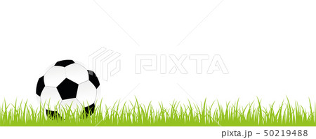 football on green meadow banner with copy space 50219488
