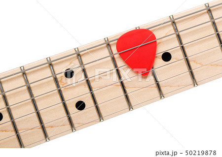 Empty wooden maple fingerboard Empty wooden maple fingerboard 50219878