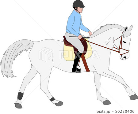 horse riding colored illustration horse riding colored illustration 50220406