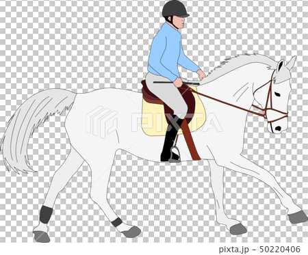 horse riding colored illustration 50220406