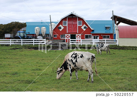 北海道 根室地方 牧場のある風景 北海道 根室地方 牧場のある風景 50220557