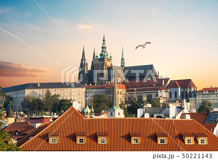 View of Prague Castle 50221143