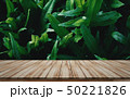 Wooden tabletop products display leaf background 50221826