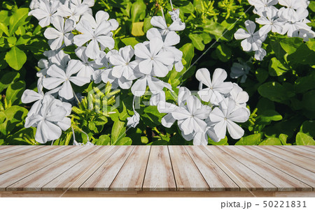 Empty wooden table top with white flower 50221831