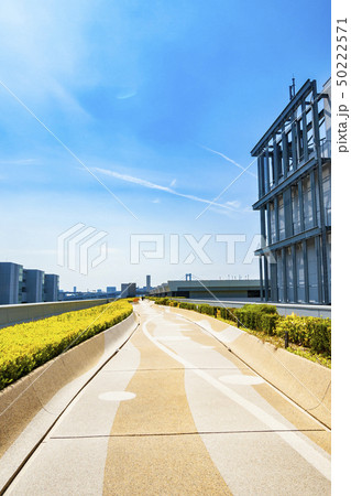 【東京都】豊洲市場の屋上 【東京都】豊洲市場の屋上 50222571