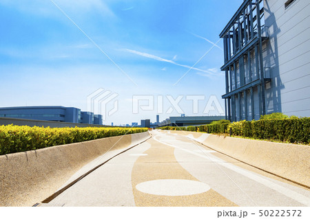 【東京都】豊洲市場の屋上 50222572