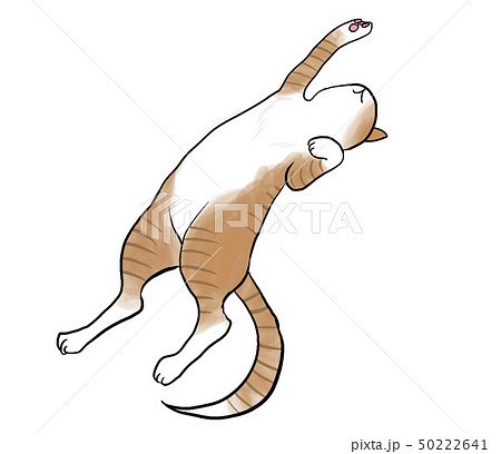 ねこぐいん 背伸び 猫背解消 猫の日常 のイラスト素材