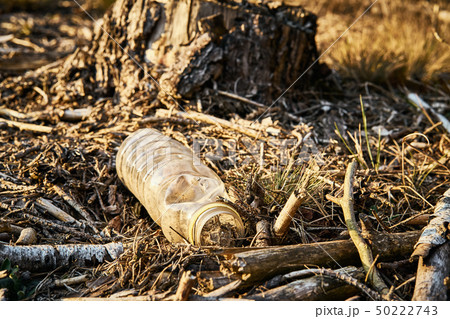 Pollution environment of old plastic bottle in forest 50222743
