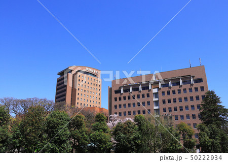 和洋女子大学 和洋女子大学 50222934