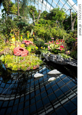 海外旅行、アジア、シンガポール、Singapore Gardens by the Bay 50223105