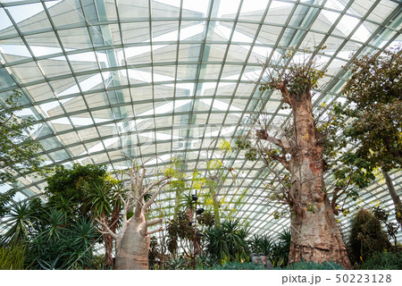 海外旅行、アジア、シンガポール、Singapore Gardens by the Bay 海外旅行、アジア、シンガポール、Singapore Gardens by the Bay 50223128