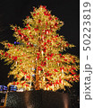 恵比寿クリスマスツリー 50223819