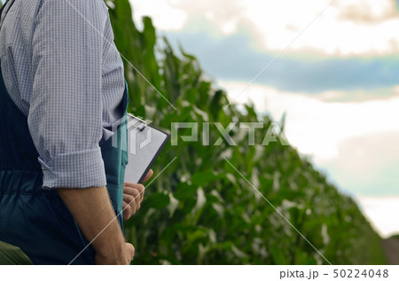 Farmer with clipboard inspecting corn at field 50224048