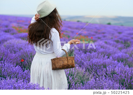 young woman is in the lavender flower field, young woman is in the lavender flower field, 50225425