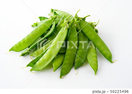 さやえんどう 50225496