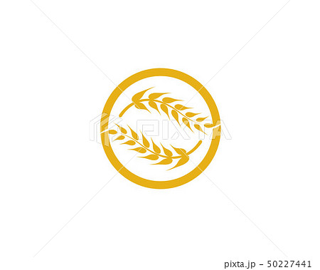 Agriculture wheat vector 50227441