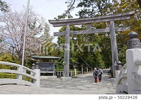 寒川神社 鳥居 寒川神社 鳥居 50229426