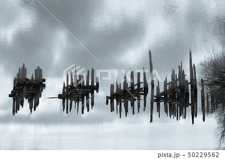 beautiful water landscape with fragments of piles 50229562