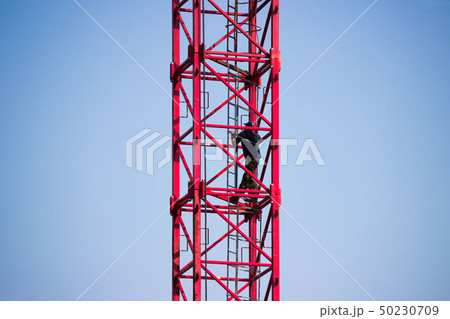 The crane operator climbs the stairs to a large red crane for the construction of a large health The crane operator climbs the stairs to a large red crane for the construction of a large health 50230709
