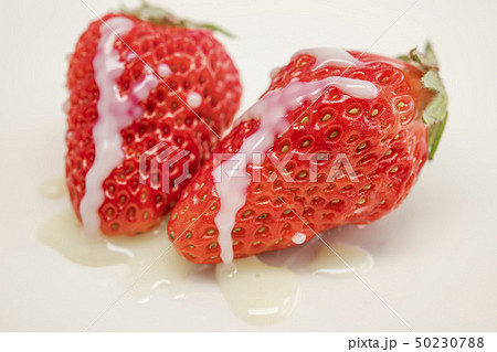 【苺】 50230788