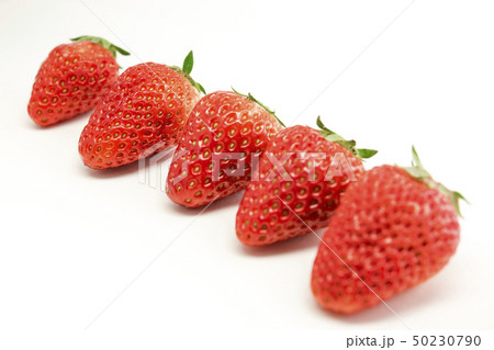 【苺】 50230790