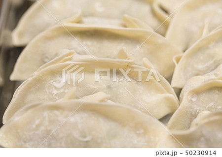 【手作り餃子】 50230914